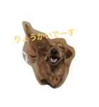 じゃじゃまるさん（個別スタンプ：9）