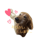 じゃじゃまるさん（個別スタンプ：14）