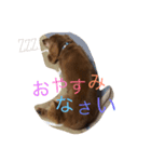 じゃじゃまるさん（個別スタンプ：15）