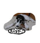 ぼるぼる兄妹（個別スタンプ：2）