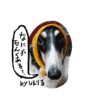ぼるぼる兄妹（個別スタンプ：3）