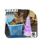 happy-SORAKUN2（個別スタンプ：5）