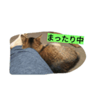 happy-SORAKUN2（個別スタンプ：6）