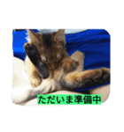 happy-SORAKUN3（個別スタンプ：8）