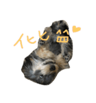 ロッティー君 1（個別スタンプ：10）