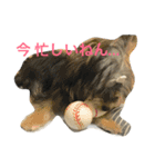 ロッティー君 1（個別スタンプ：21）
