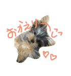 ロッティー君 1（個別スタンプ：22）