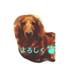 らいくな日々（個別スタンプ：13）