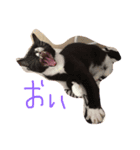 プーさまるーさまぞっけさま（個別スタンプ：1）