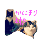 プーさまるーさまぞっけさま（個別スタンプ：2）