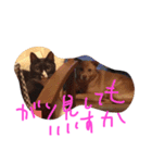 プーさまるーさまぞっけさま（個別スタンプ：3）