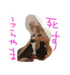 プーさまるーさまぞっけさま（個別スタンプ：5）