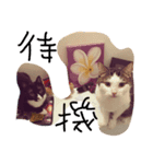 プーさまるーさまぞっけさま（個別スタンプ：6）