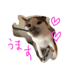 プーさまるーさまぞっけさま（個別スタンプ：7）