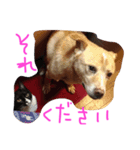 プーさまるーさまぞっけさま（個別スタンプ：8）
