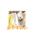 わたあめコロンのおきらくな日々（個別スタンプ：2）