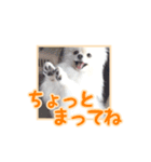 わたあめコロンのおきらくな日々（個別スタンプ：14）