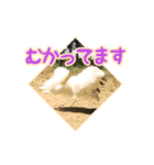 わたあめコロンのおきらくな日々（個別スタンプ：18）