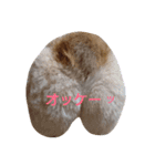 コーギー むー（個別スタンプ：7）