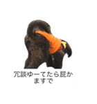 アメリカバイソンモドキ（個別スタンプ：3）