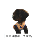 アメリカバイソンモドキ（個別スタンプ：7）
