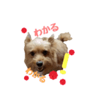 パピキー マリーの使える相づち（個別スタンプ：1）