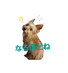 パピキー マリーの使える相づち（個別スタンプ：4）