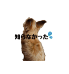 パピキー マリーの使える相づち（個別スタンプ：6）
