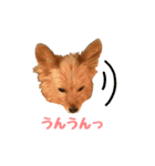 パピキー マリーの使える相づち（個別スタンプ：10）