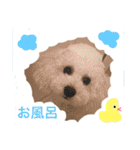 キャンディちゃんの日常生活（個別スタンプ：5）