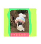 キャンディちゃんの日常生活（個別スタンプ：8）
