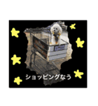 キャンディちゃんの日常生活（個別スタンプ：10）