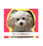 キャンディちゃんの日常生活（個別スタンプ：11）
