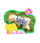 キャンディちゃんの日常生活（個別スタンプ：13）