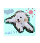 キャンディちゃんの日常生活（個別スタンプ：14）