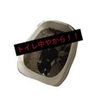 沖田チョロまつ（個別スタンプ：6）