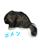 qoosama（個別スタンプ：6）