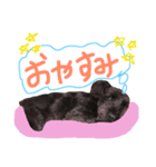 うちのぺぺ（個別スタンプ：6）