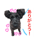 うちのぺぺ（個別スタンプ：7）