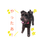うちのぺぺ（個別スタンプ：8）