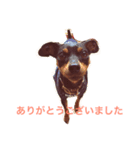 ミニピン マナ（個別スタンプ：2）