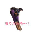 ミニピン マナ（個別スタンプ：7）
