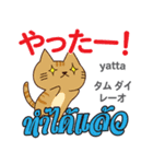 猫の日常会話 日本語タイ語（個別スタンプ：6）