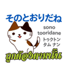 猫の日常会話 日本語タイ語（個別スタンプ：10）