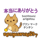 猫の日常会話 日本語タイ語（個別スタンプ：36）