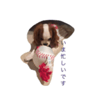小顔のキャバリアちゃん（個別スタンプ：12）