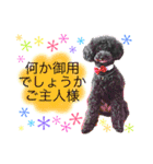 はるくんスタンプ！！（個別スタンプ：10）