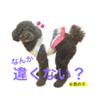はるくんスタンプ！！（個別スタンプ：11）