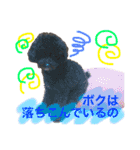 はるくんスタンプ！！（個別スタンプ：13）