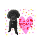 はるくんスタンプ！！（個別スタンプ：14）
